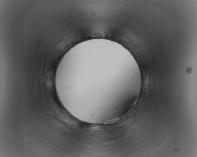 X0000091860616200710031702