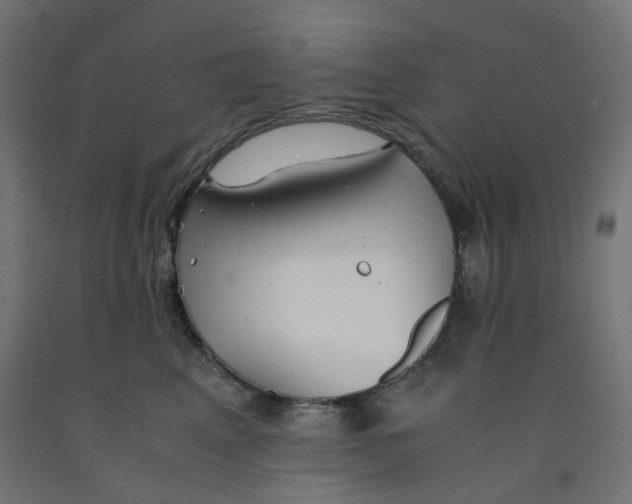 X0000091860617200710031702