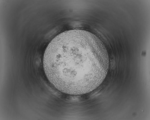 X0000091860618200710031702