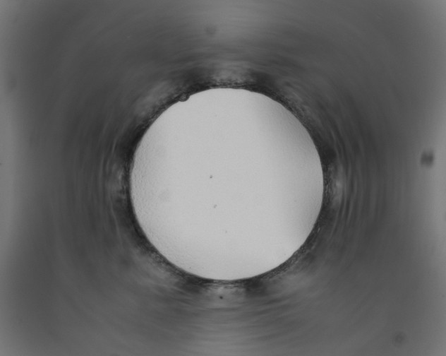 X0000091860619200710031702