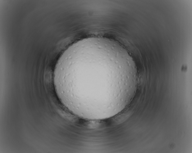 X0000091860623200710031702