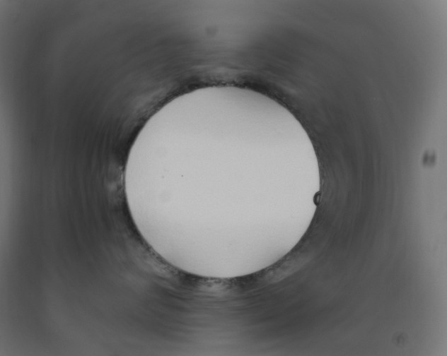 X0000091860624200710031702