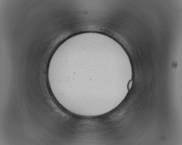 X0000091860625200710031702