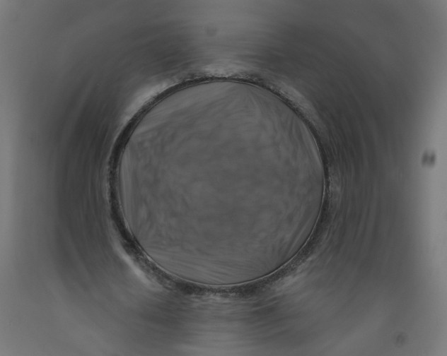 X0000091860626200710031702