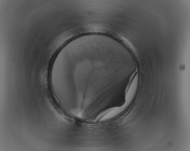 X0000091860627200710031702