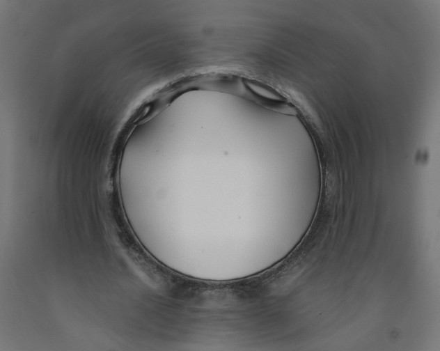 X0000091860628200710031702