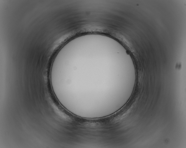 X0000091860629200710031702