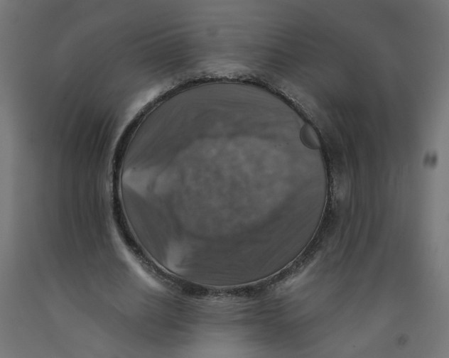 X0000091860630200710031702