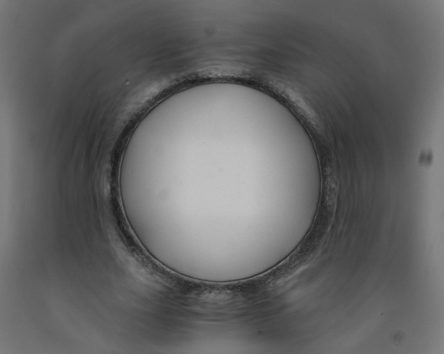 X0000091860631200710031702