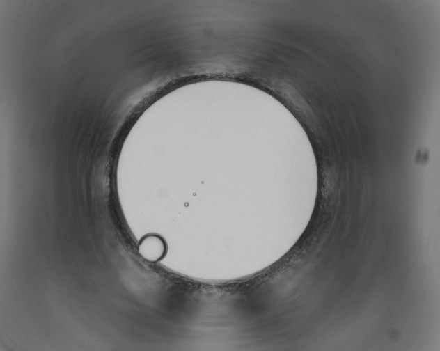 X0000091860632200710031702