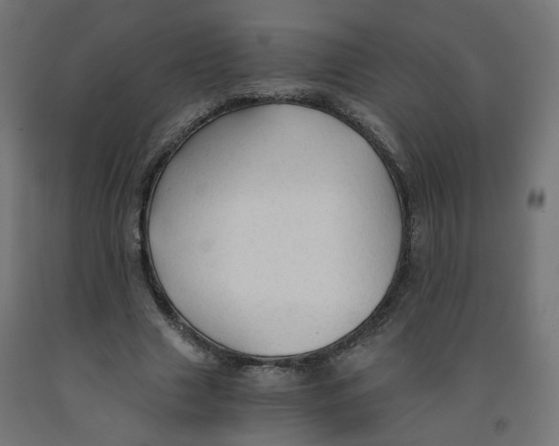 X0000091860633200710031702