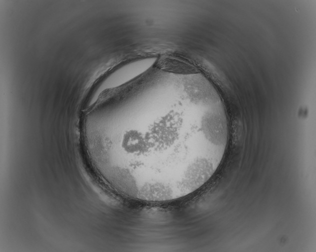 X0000091860634200710031702