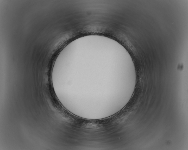 X0000091860635200710031702