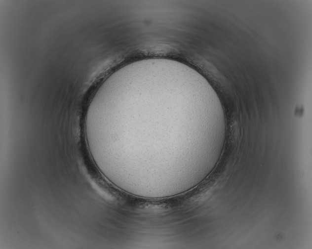 X0000091860638200710031702