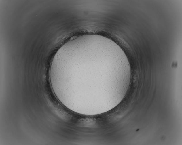 X0000091860639200710031702