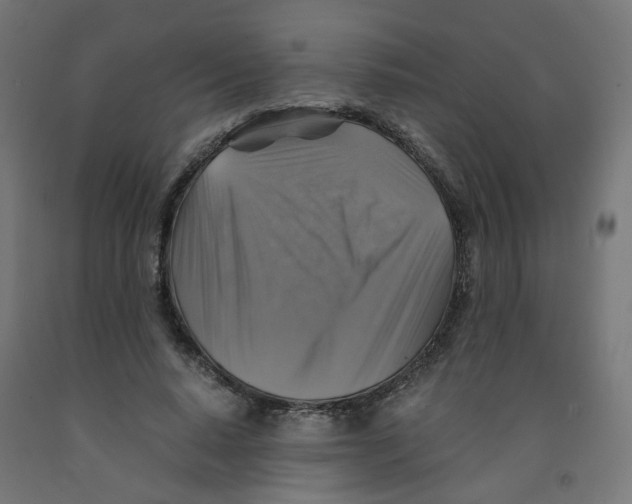 X0000091860640200710031702