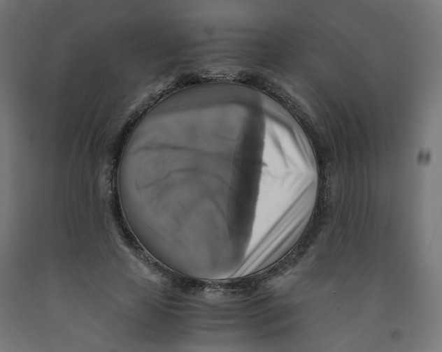 X0000091860641200710031702