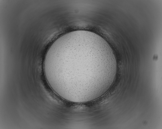 X0000091860642200710031702