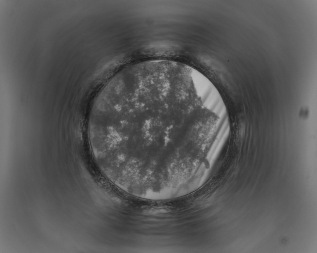 X0000091860643200710031702