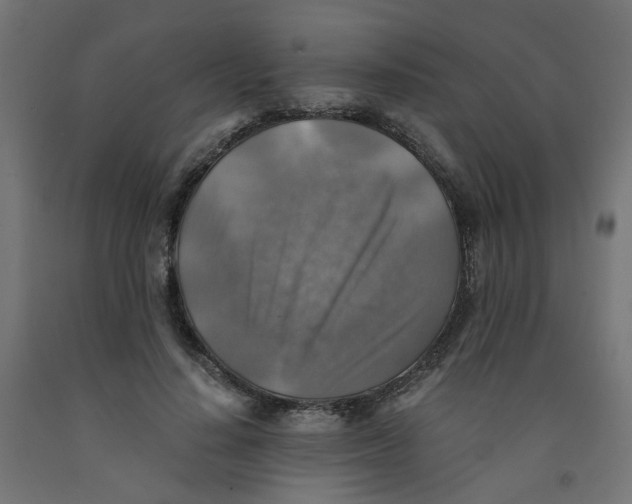 X0000091860644200710031702