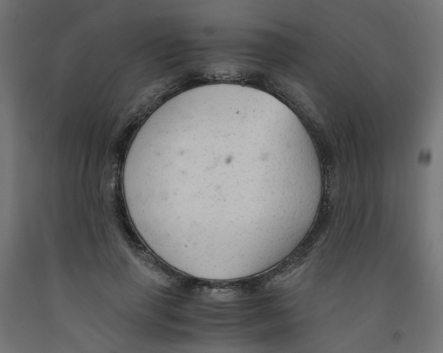 X0000091860645200710031702