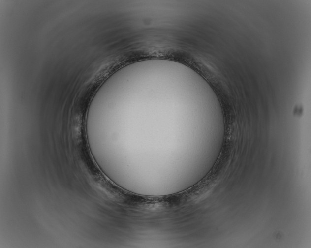 X0000091860646200710031702