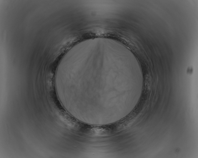 X0000091860650200710031702