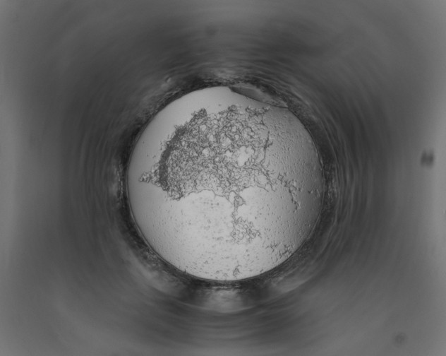 X0000091860651200710031702