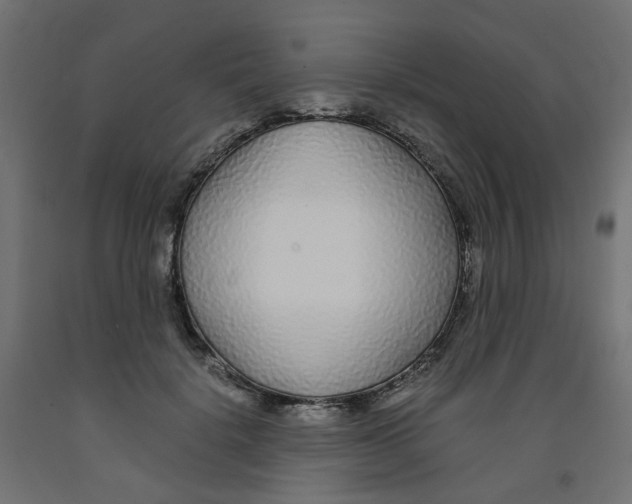 X0000091860652200710031702