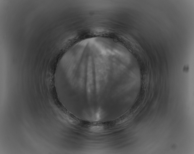 X0000091860653200710031702