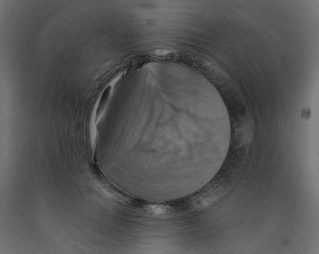 X0000091860654200710031702