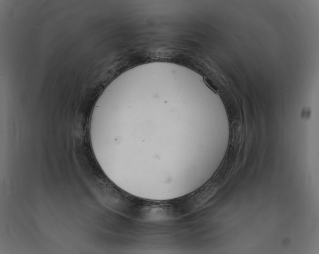 X0000091860655200710031702