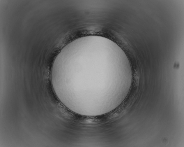 X0000091860657200710031702