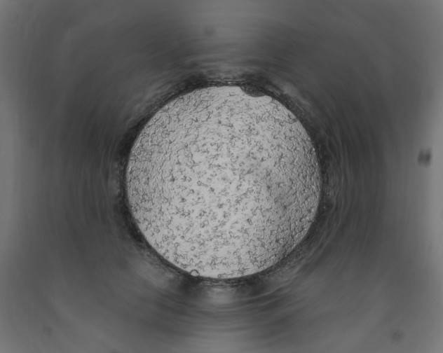 X0000091860658200710031702