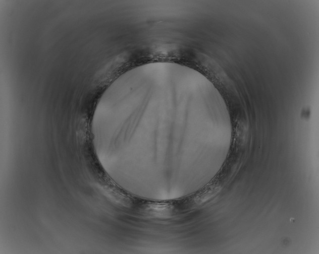 X0000091860659200710031702