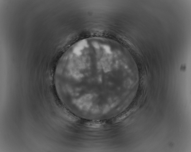 X0000091860661200710031702