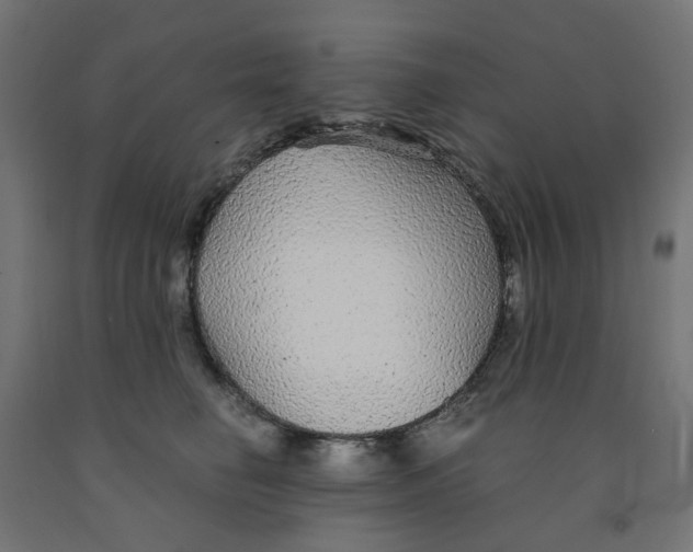 X0000091860662200710031702