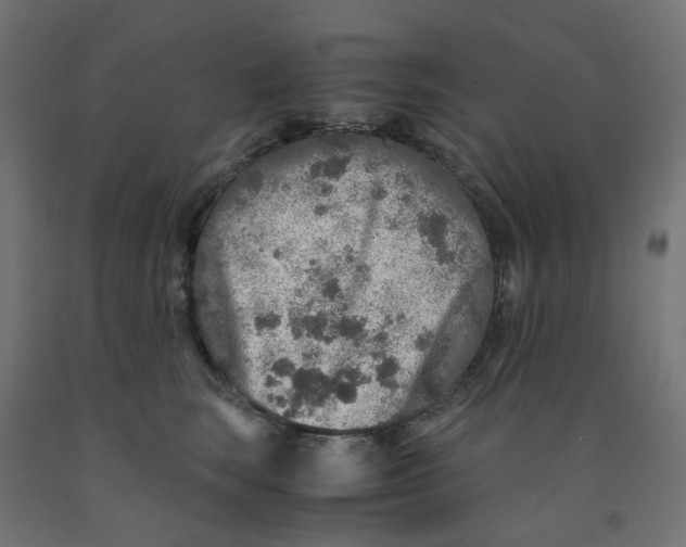 X0000091860663200710031702