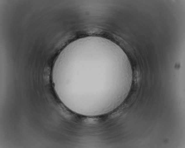 X0000091860664200710031702