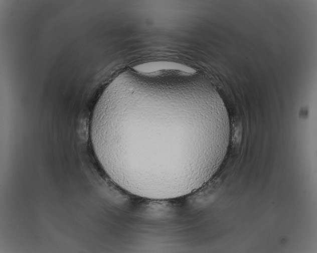 X0000091860666200710031702