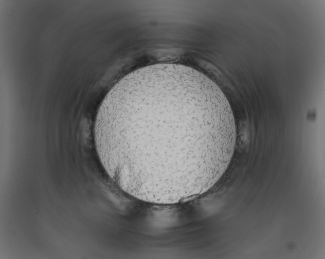 X0000091860667200710031702