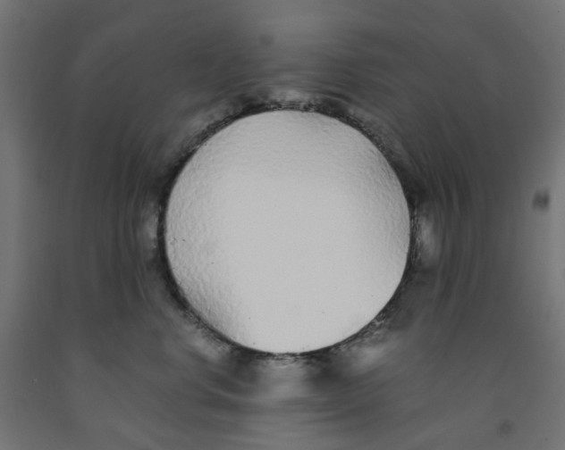 X0000091860668200710031702