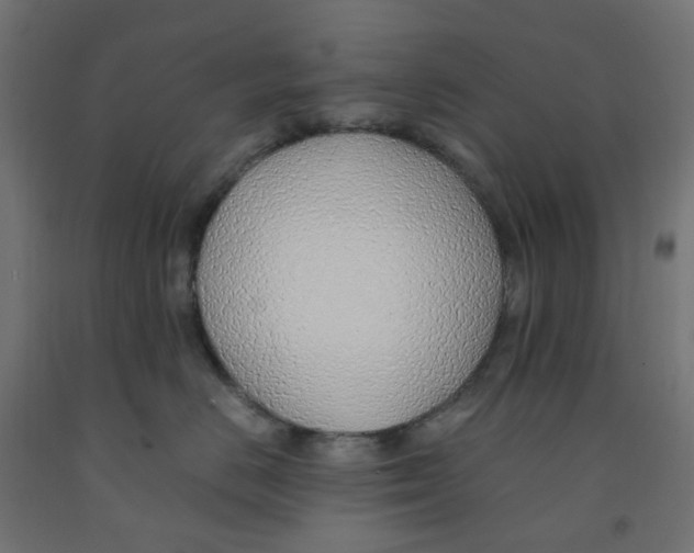 X0000091860670200710031702