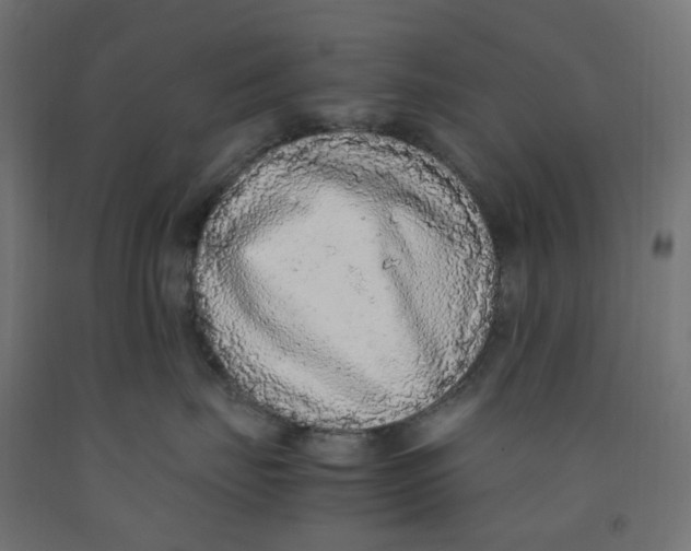 X0000091860671200710031702