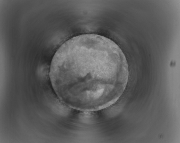 X0000091860672200710031702