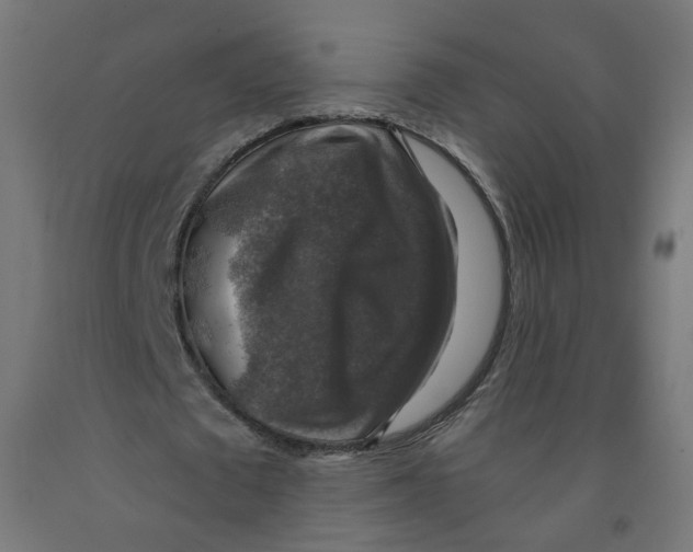 X0000091860673200710031702