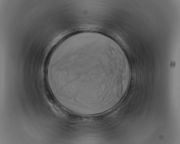 X0000091860674200710031702