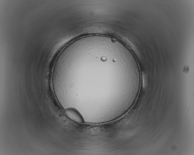 X0000091860675200710031702