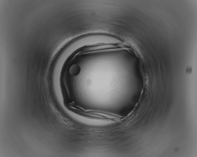 X0000091860676200710031702