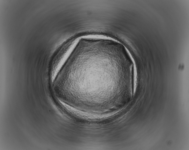 X0000091860677200710031702